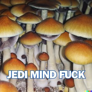 Jedi Mind Fuck Mushrooms From Spores