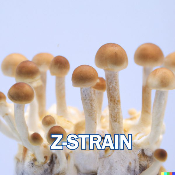 Z-STRAIN MUSHROOMS