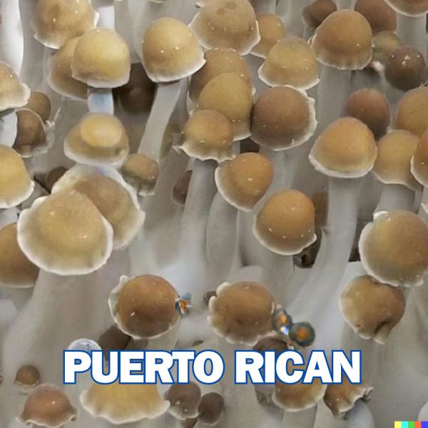 Puerto Rican Mushroom from Spores