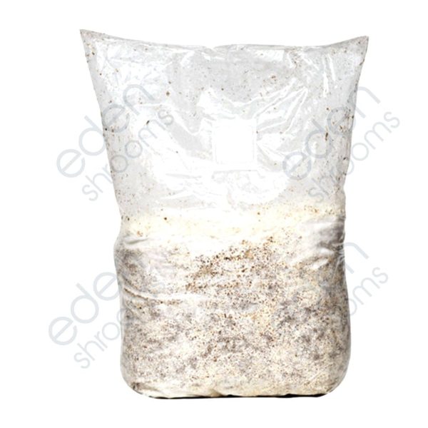 Sawdust Spawn, 5LB | Eden Shrooms