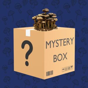 Eden Shrooms Mystery Box Spore Syringes