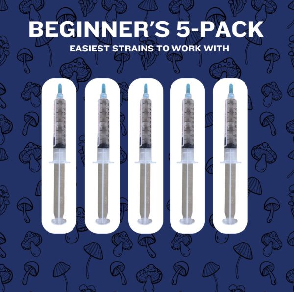 Beginner's 5-pack of spore syringes