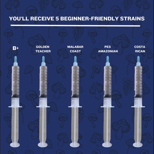 Beginners' pack syringe list