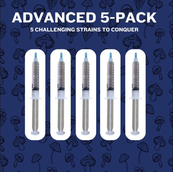 Advanced 5-Pack Spore Syringes