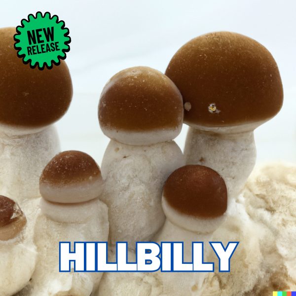 Hillbilly Mushrooms from spores