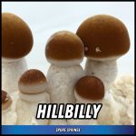 Hillbilly Spore Syringe (P. Cubensis)