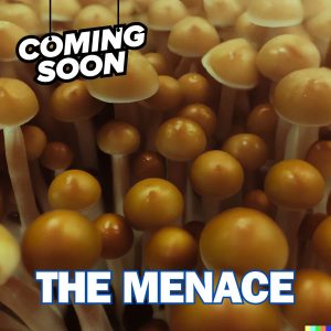 Menace mushrooms from spore syringe