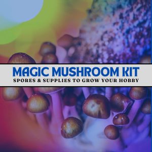 Magic Mushroom Kit With Magic Mushrooms Growing In Background