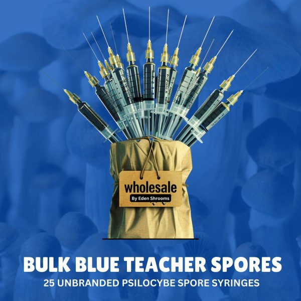 Bulk Blue Teacher Spore Syringes With Product title