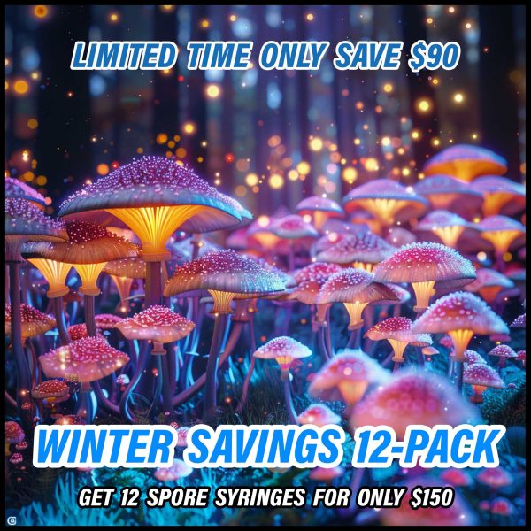 Winter Savings Pack (12 Spore Syringes)
