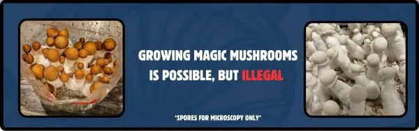 mushrooms growing with explanatory text and disclaimer